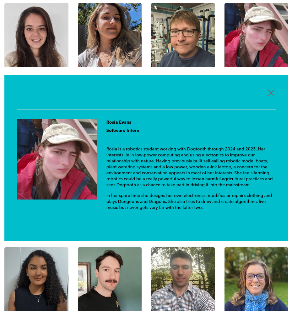 an image of myself on dogtooths website